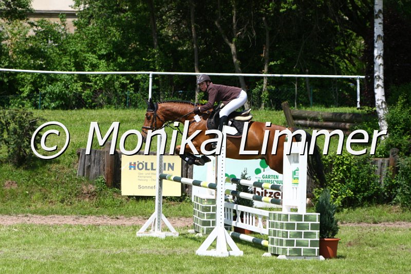 005M5211_Companion_L Springen.JPG